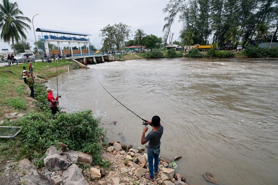 MEMANCING