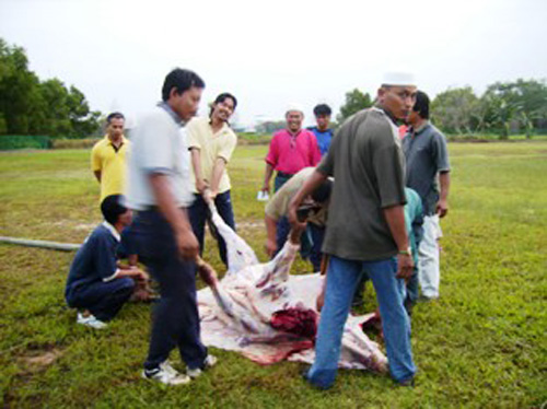 IBADAH KORBAN