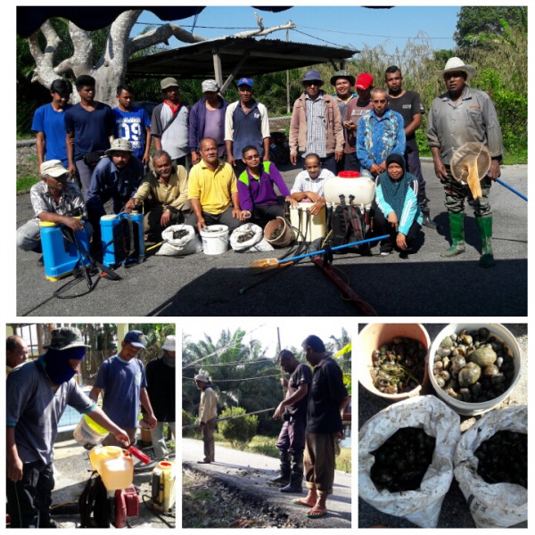 MEMBANTERAS SIPUT GONDANG