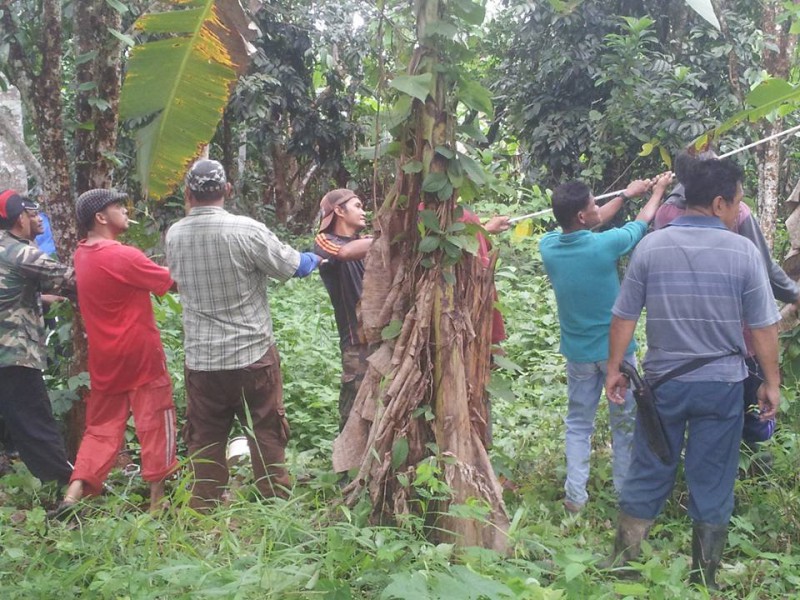 GOTONG ROYONG MEMBERSIHKAN KAWASAN KAMPUNG