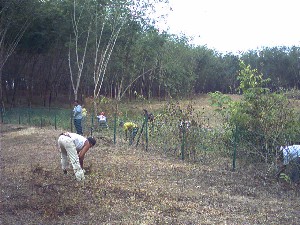 GOTONG - ROYONG
