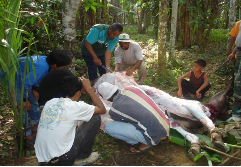 IBADAH KORBAN