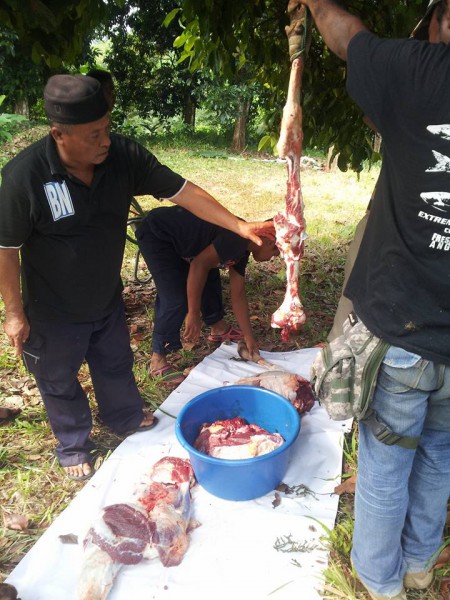 IBADAH KORBAN 1436H