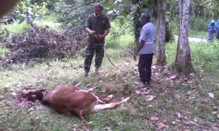 IBADAH KURBAN 12.9.2016